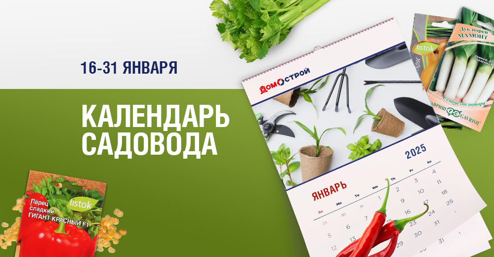 Календарь садовода: январские посевы Календарь садовода: январские посевы