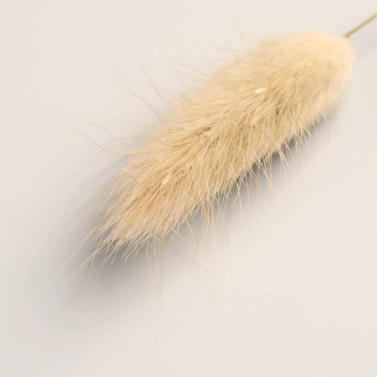 Декор сухоцвет "Лагурус" 65 см, бежевый   7081265