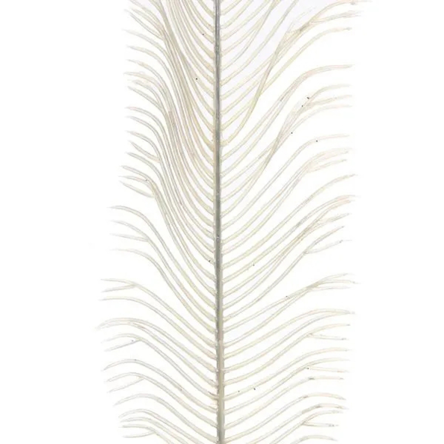 Ветка декоративная "Волшебное перо" 53 см, Белый