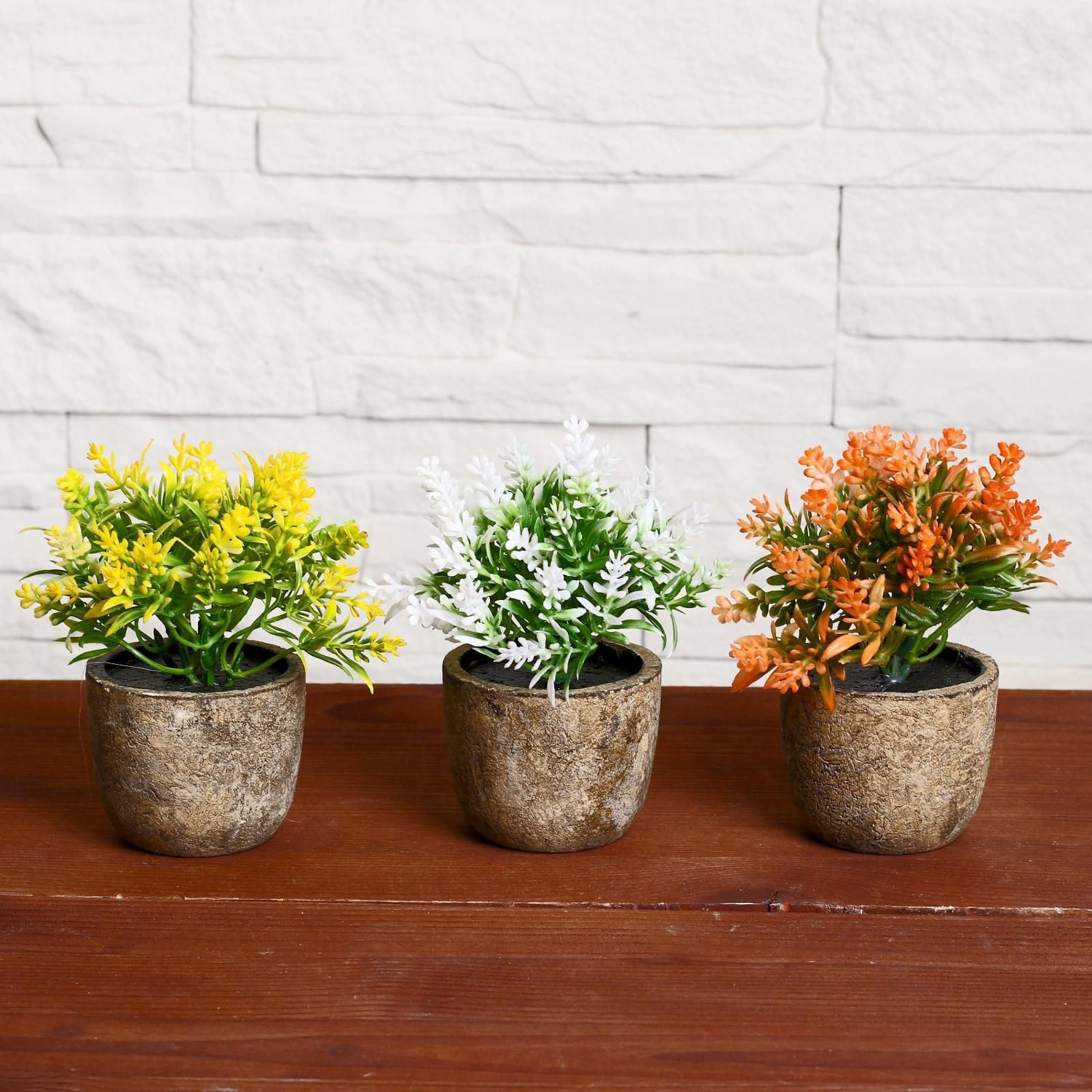 Бонсай "Седум" 6*10 см, микс  4293933