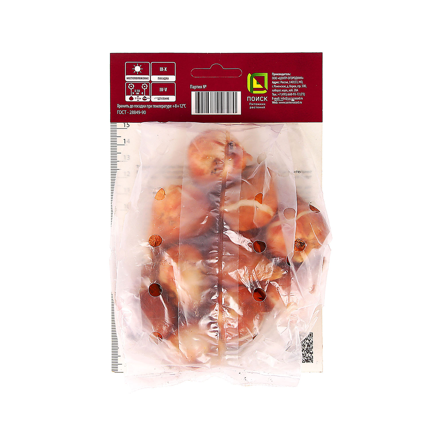 Тюльпан Дарвинов гибрид Пепл Прайд 11-12/10шт