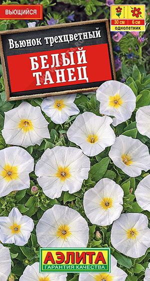 Вьюнок Белый танец 1гр Аэлита цв *10