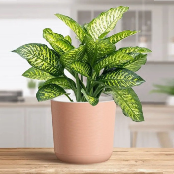 Кашпо пластм. "Лион" 4.2л d верха 190мм h175мм со вставкой Розовый-вереск ЛИ19-20 *1/8