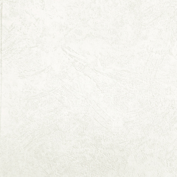 Обои  флиз. "Эрисманн" Profi Deco Maison фон (беж.) 60846-02 10.05х1.06м *6