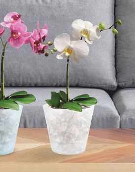 Кашпо пластм. "London Orchid" 1,6л d верха 160мм h145мм со вставкой Бел.перлам. ING1558БЛПЕРЛ *1/16