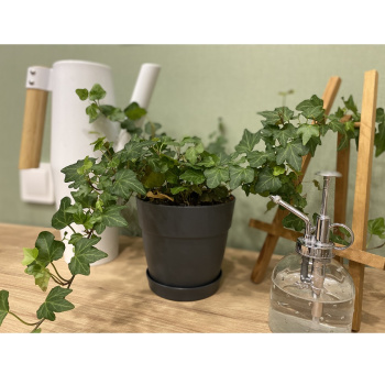 Кашпо пластм. "Villa de Fiori"  1,1л d верха 130мм h155мм с поддоном Француз. платанIG660010025*1/10