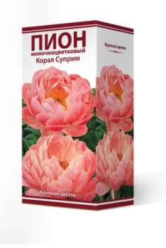 Пион молочноцветковый Корал Суприм 2-3/Кор
