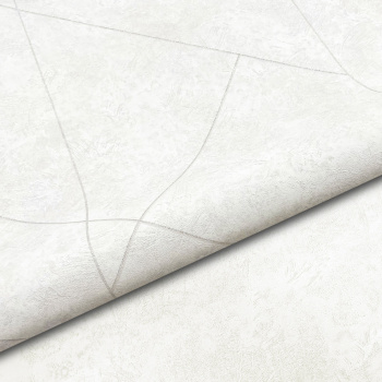 Обои  флиз. "Эрисманн" Profi Deco Maison фон (беж.) 60846-02 10.05х1.06м *6