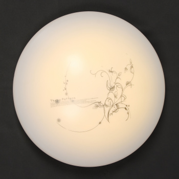 Светильник светодиодный акриловый 270мм 24W 8008/12W*2 010LED3 р.(теп.и хол.свет,смеш)б/пS=10м2VERNE